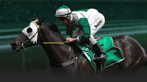 库里34分5助6板助勇士24分逆转胜公牛，巴特勒首秀25分闪耀登场